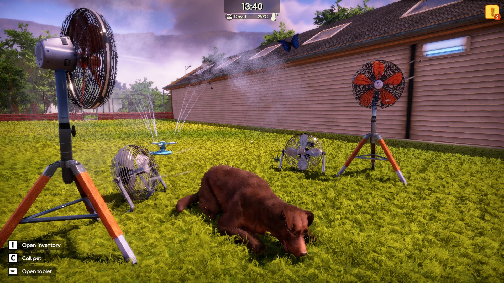Animal Shelter 2 - Image 19
