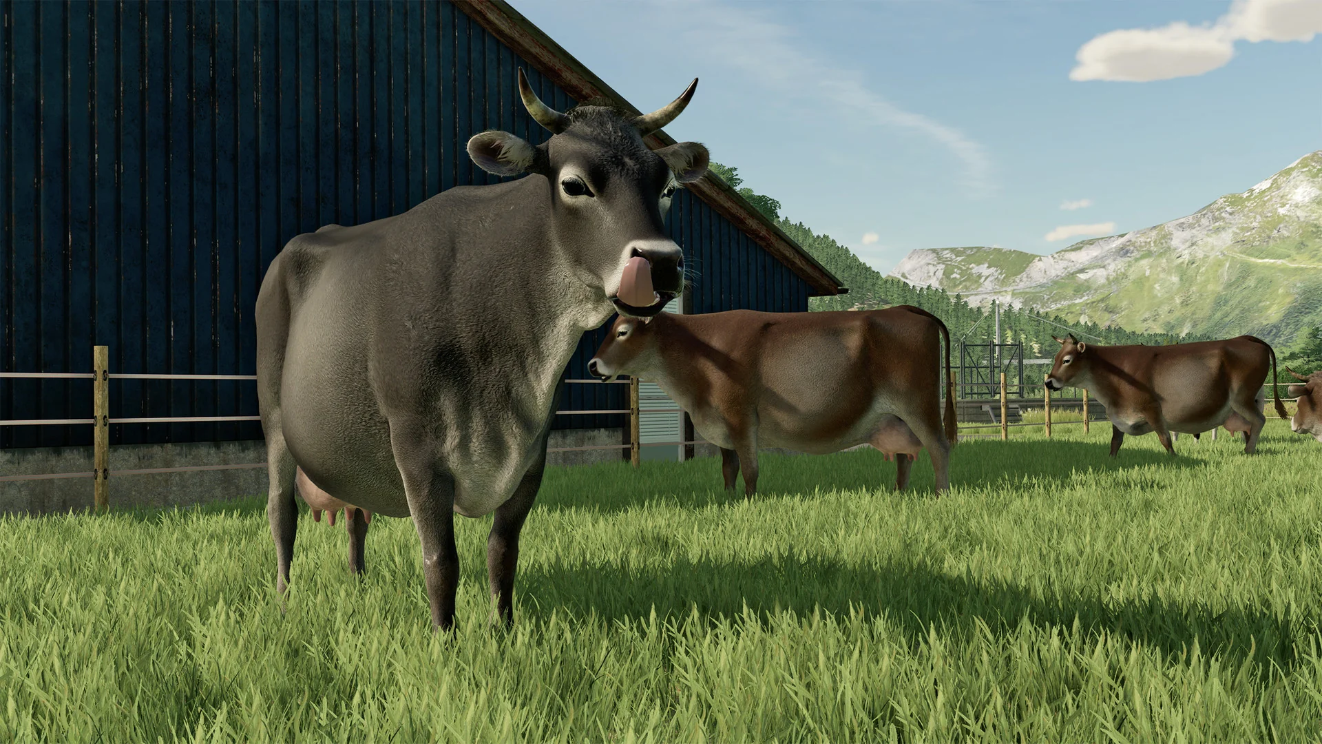 Farming Simulator 22 - Image 11