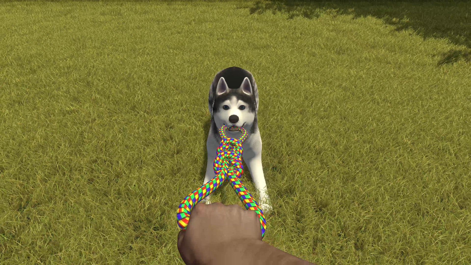 House Flipper - Pets DLC - Image 14