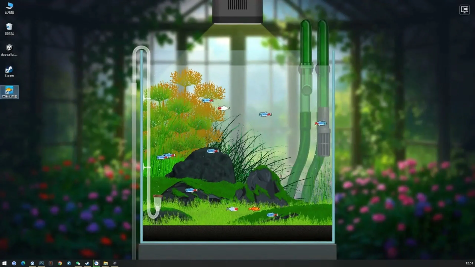 Joyquarium - Image 8