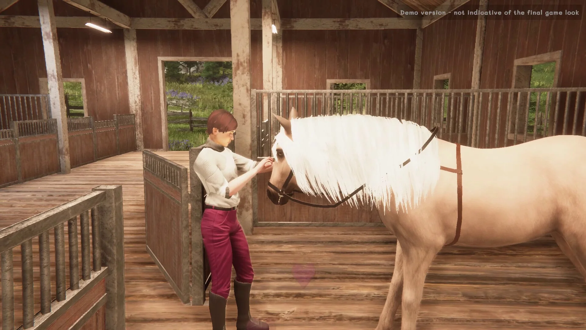 My Horse: Bonded Spirits - Image 6