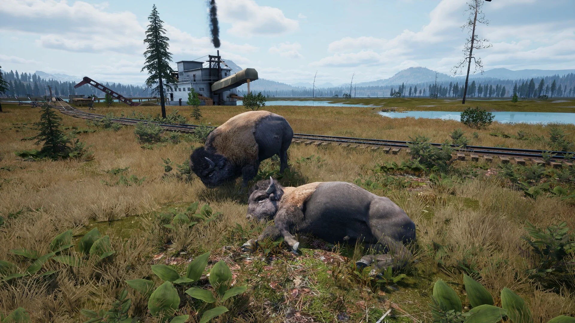 Railroads Online - Explorer DLC - Image 8