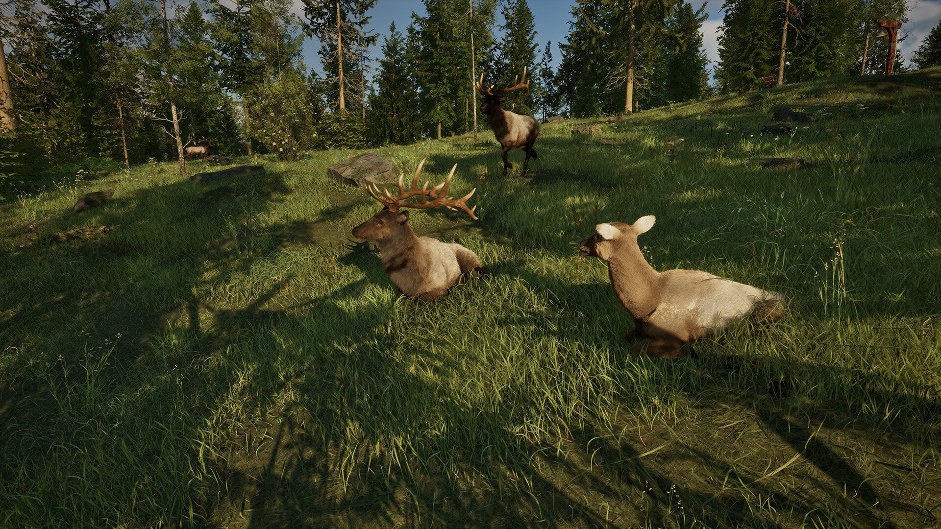 Ranger’s Path: National Park Simulator - Image 8