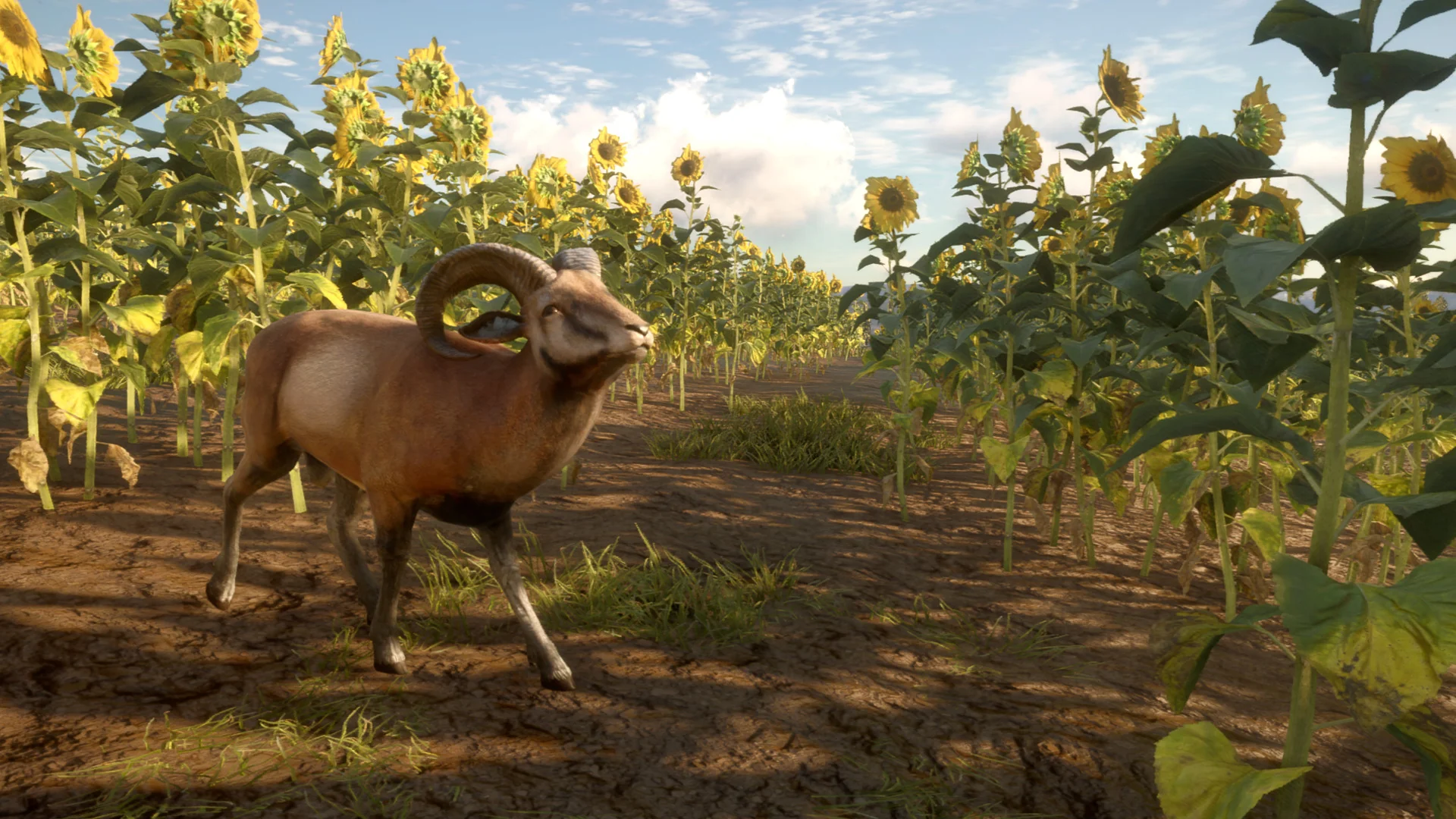 theHunter: Call of the Wild™ - Cuatro Colinas Game Reserve - Image 4