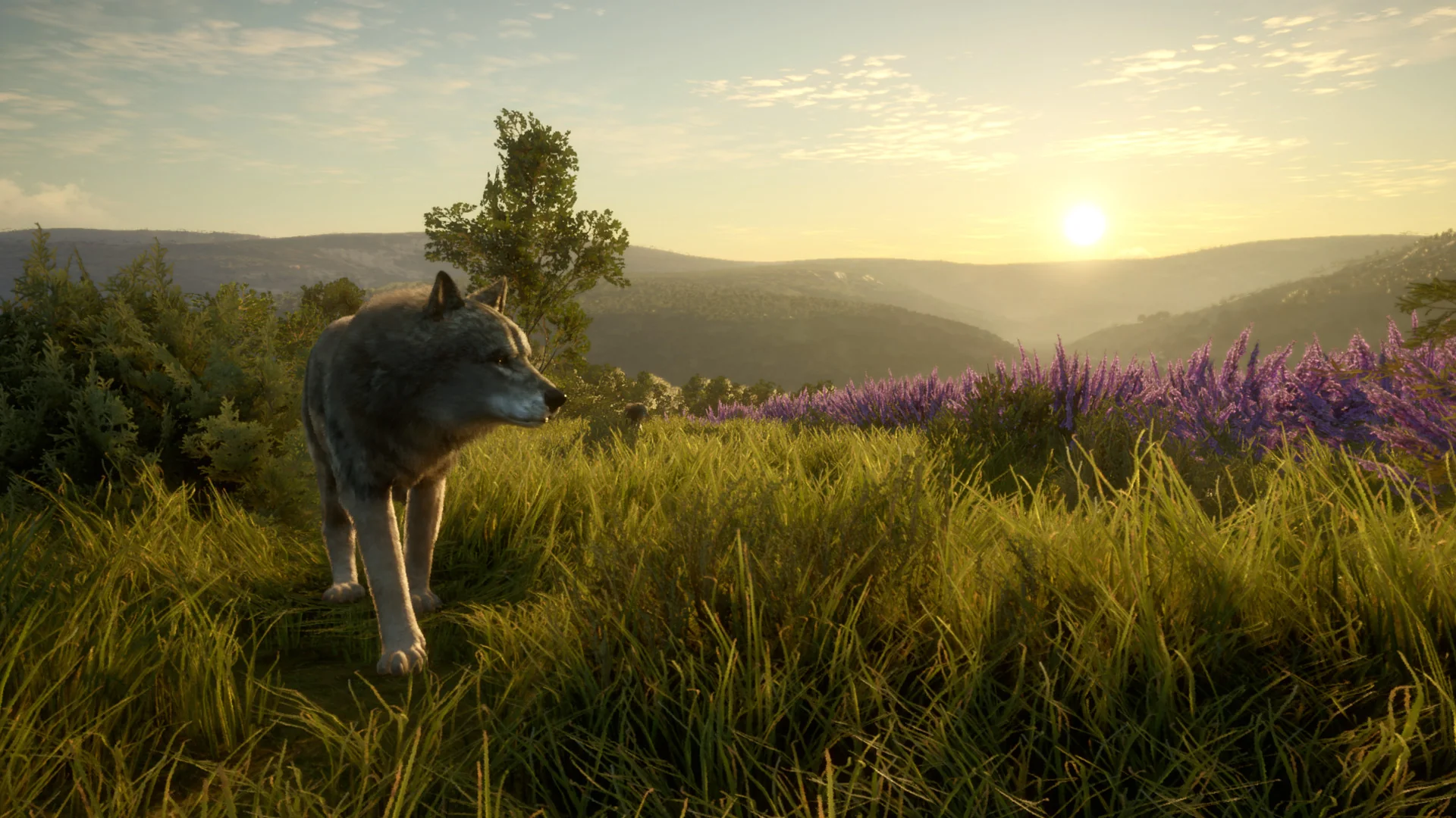 theHunter: Call of the Wild™ - Cuatro Colinas Game Reserve - Image 6