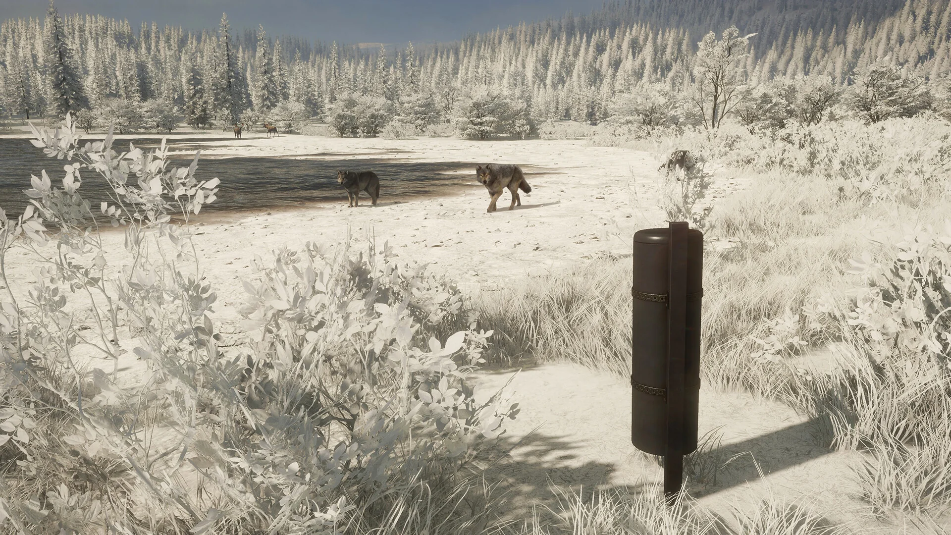 theHunter: Call of the Wild™ - Game Feeder Pack 2 - Image 7