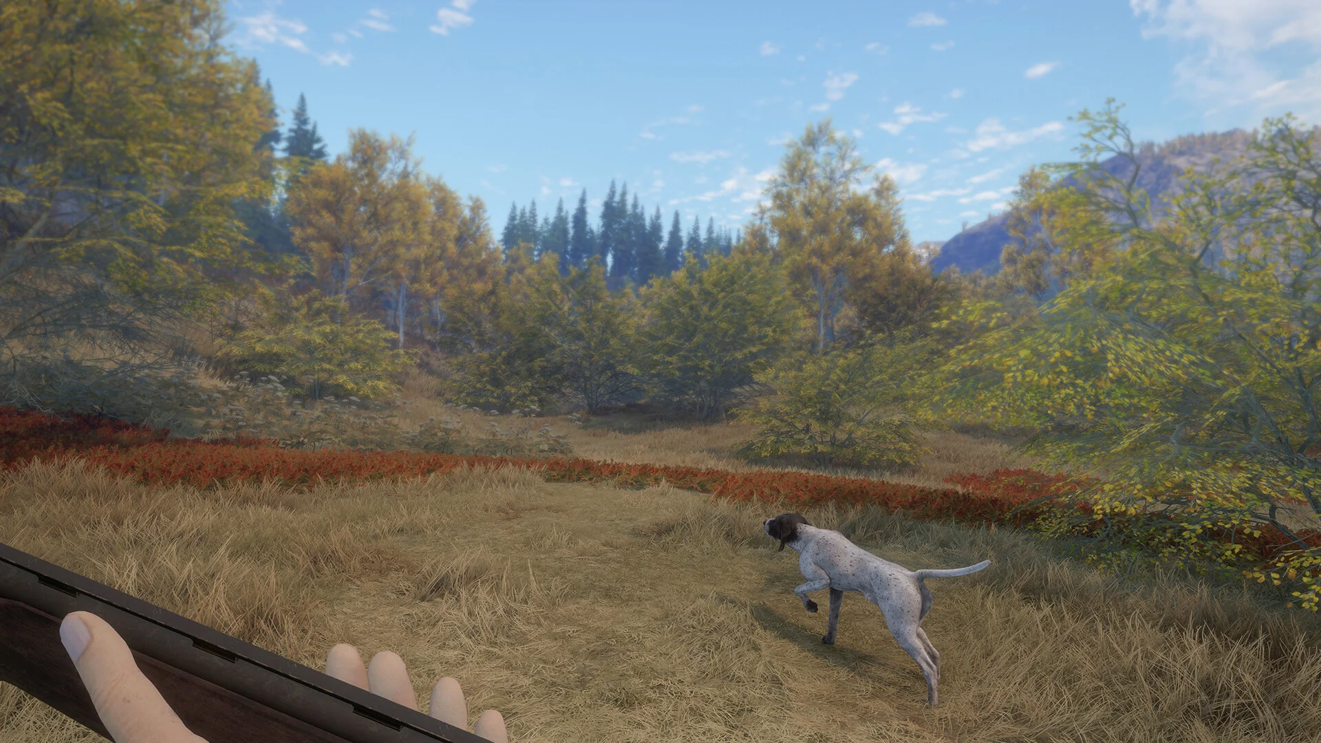 theHunter: Call of the Wild™ - German Shorthaired Pointer - Image 3