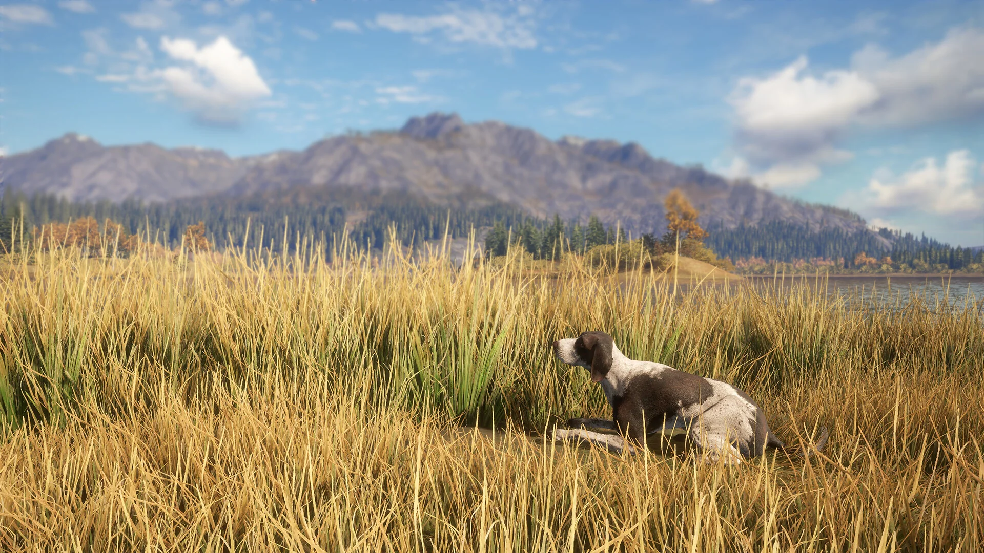 theHunter: Call of the Wild™ - German Shorthaired Pointer - Image 4