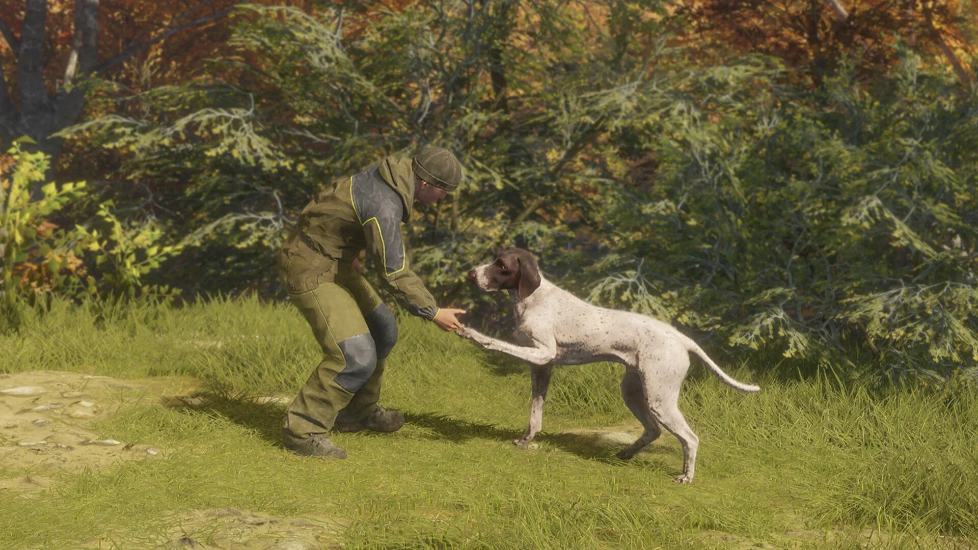 theHunter: Call of the Wild™ - German Shorthaired Pointer - Image 5