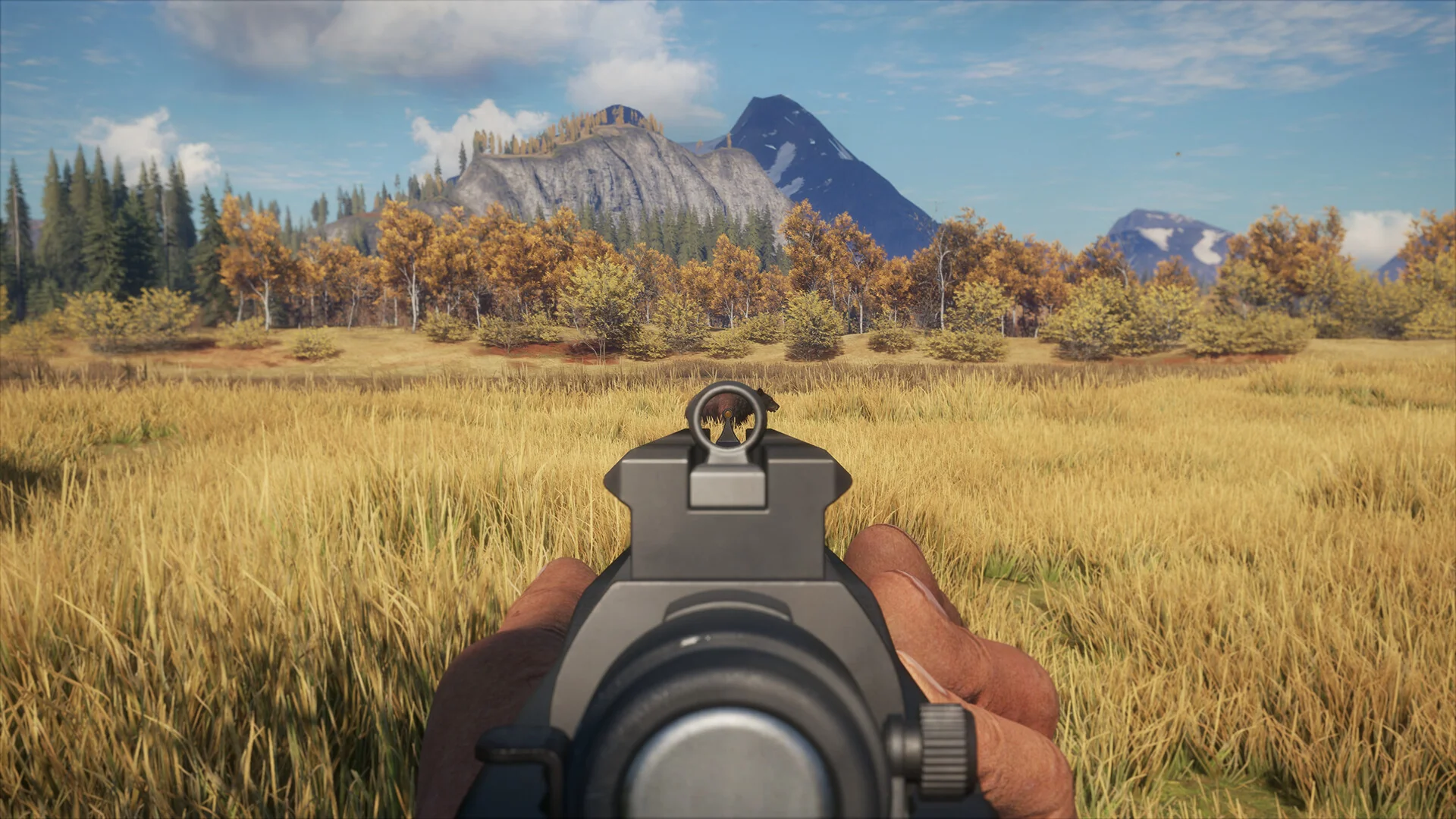 theHunter: Call of the Wild™ - Hunters' Choice: Bolt-Action Rifle Pack - Image 5