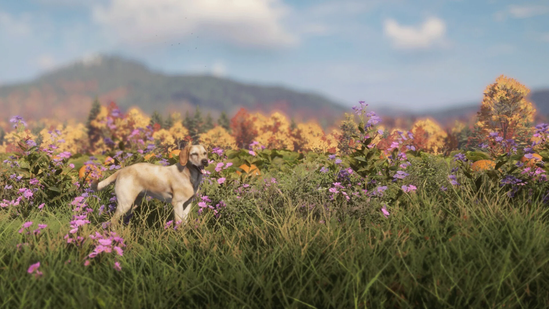 theHunter: Call of the Wild™ - Labrador Retriever - Image 3