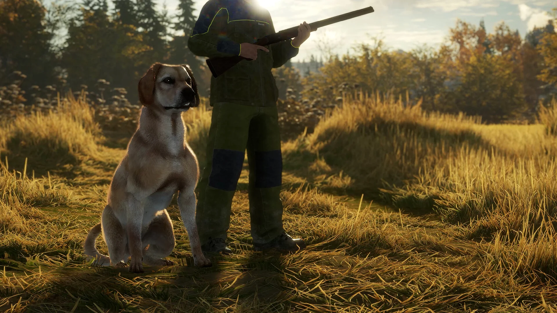 theHunter: Call of the Wild™ - Labrador Retriever - Image 5