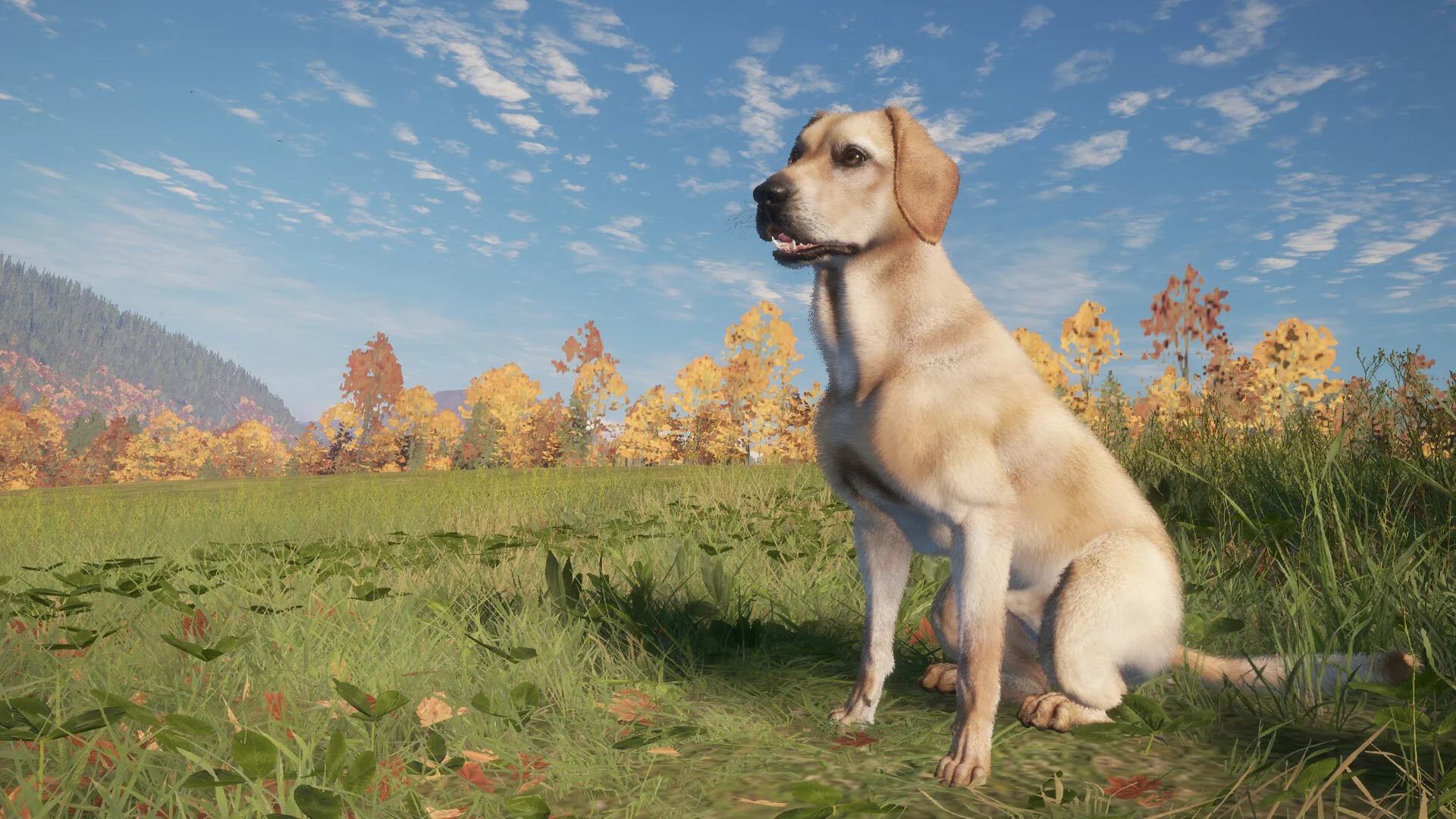 theHunter: Call of the Wild™ - Labrador Retriever - Image 7