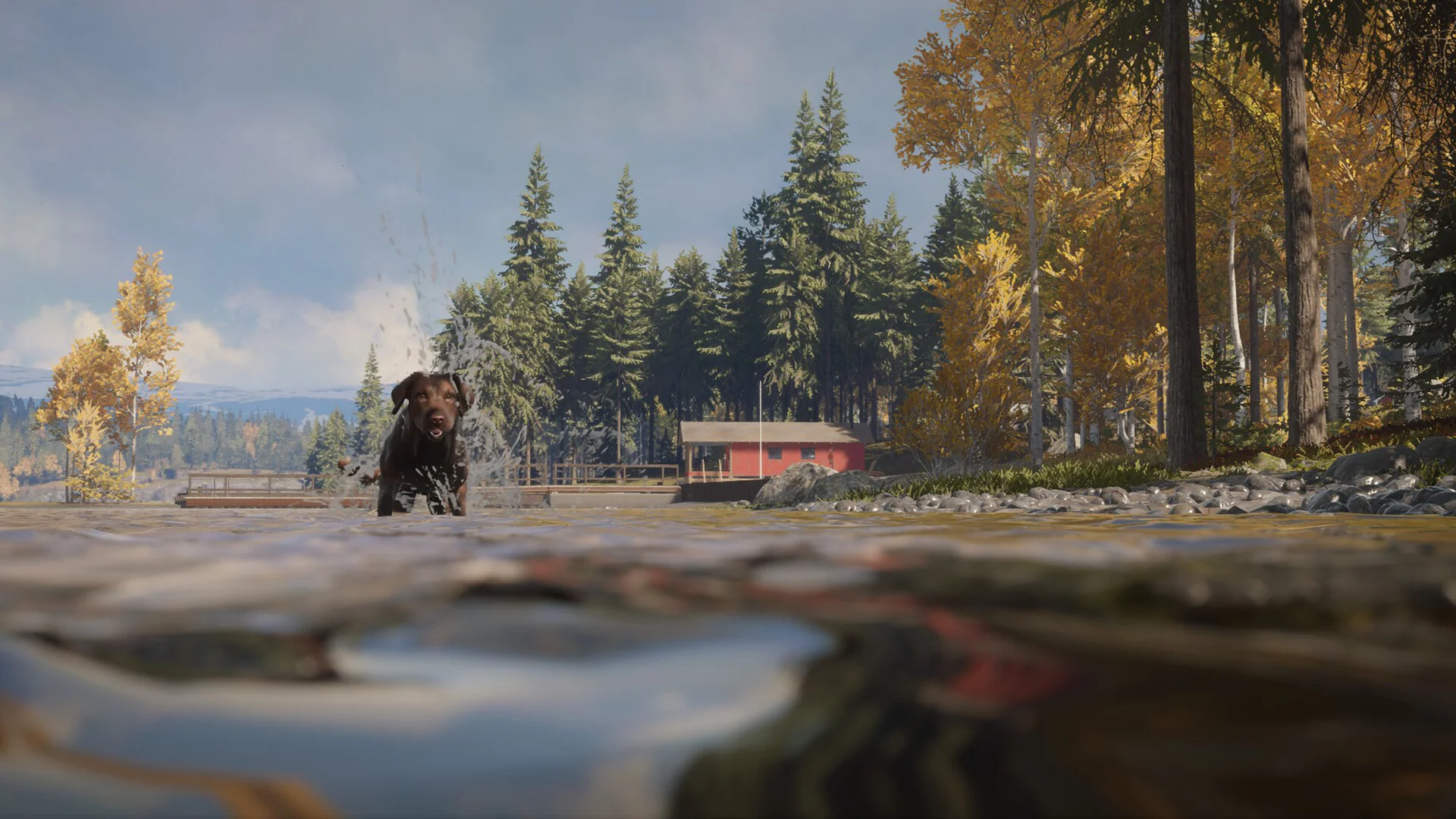 theHunter: Call of the Wild™ - Labrador Retriever - Image 8