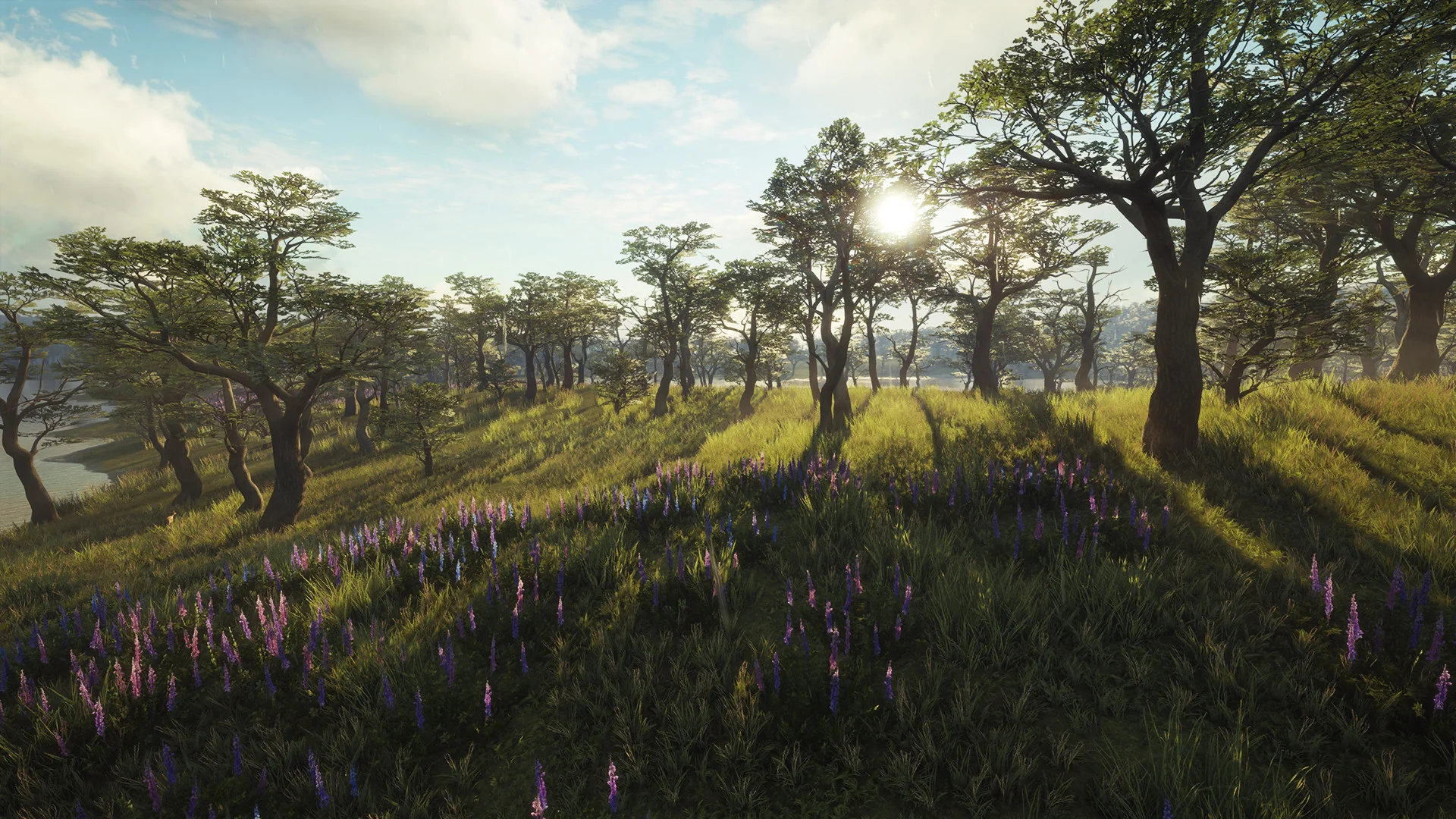 theHunter: Call of the Wild™ - Parque Fernando - Image 3
