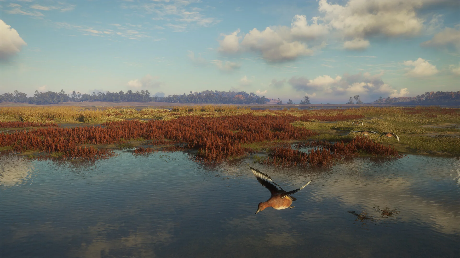 theHunter: Call of the Wild™ - Salzwiesen Park - Image 10