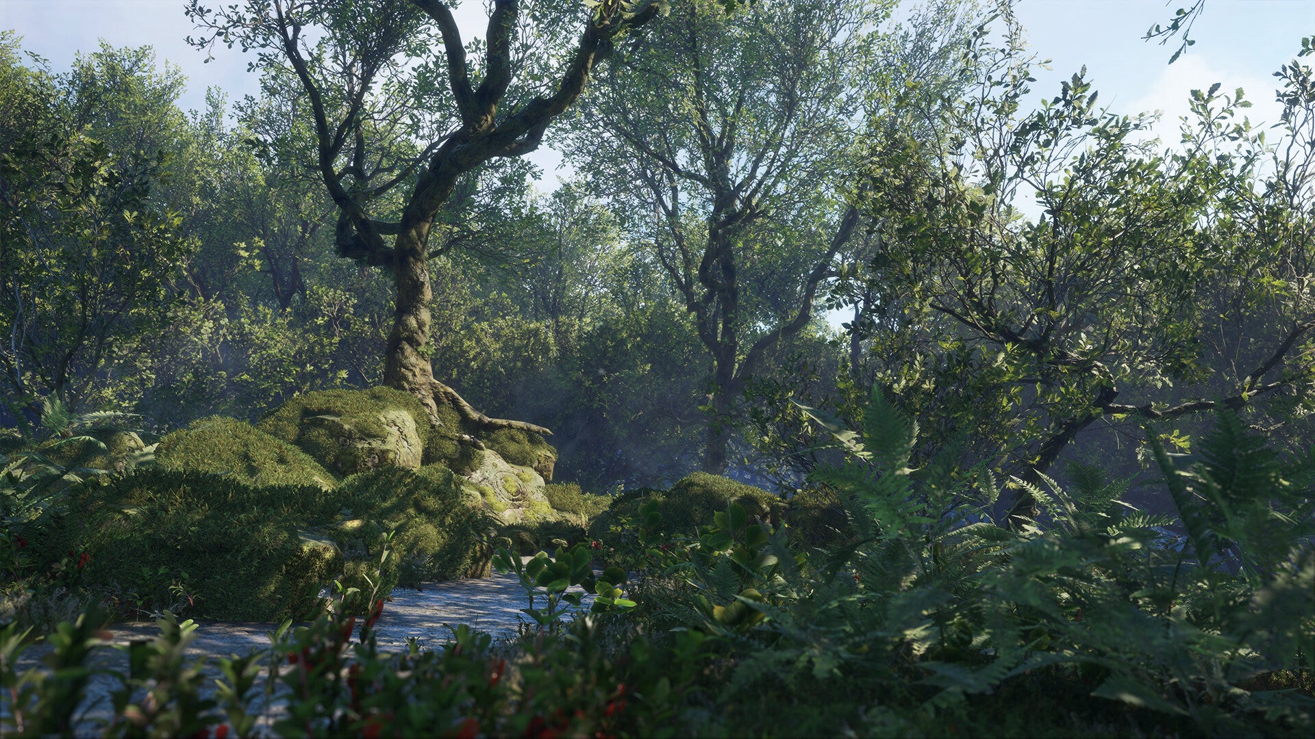 theHunter: Call of the Wild™ - Scotland Hunting Reserve - Image 10