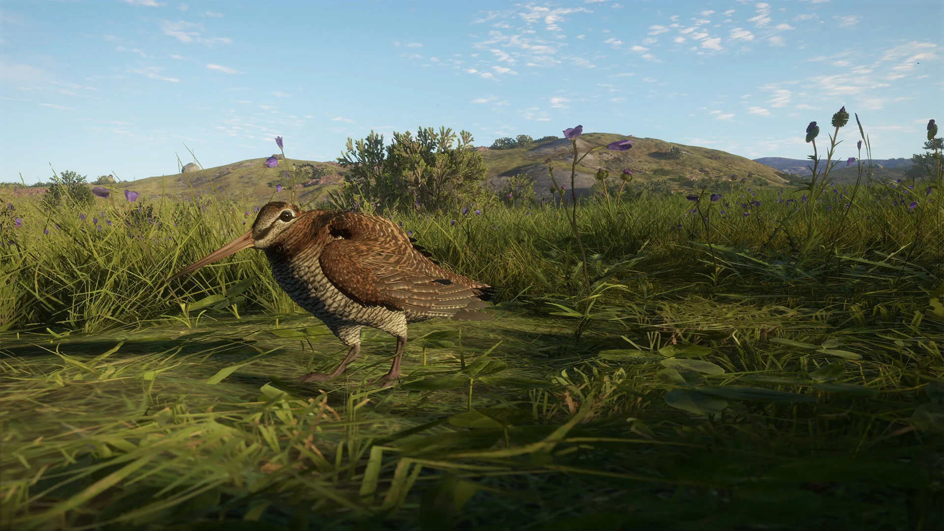 theHunter: Call of the Wild™ - Scotland Hunting Reserve - Image 20