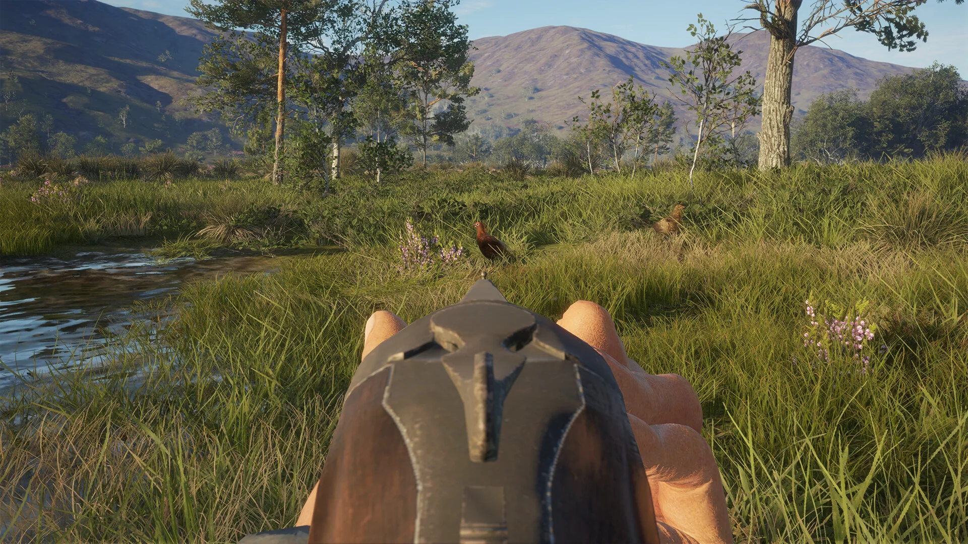 theHunter: Call of the Wild™ - Scotland Hunting Reserve - Image 8