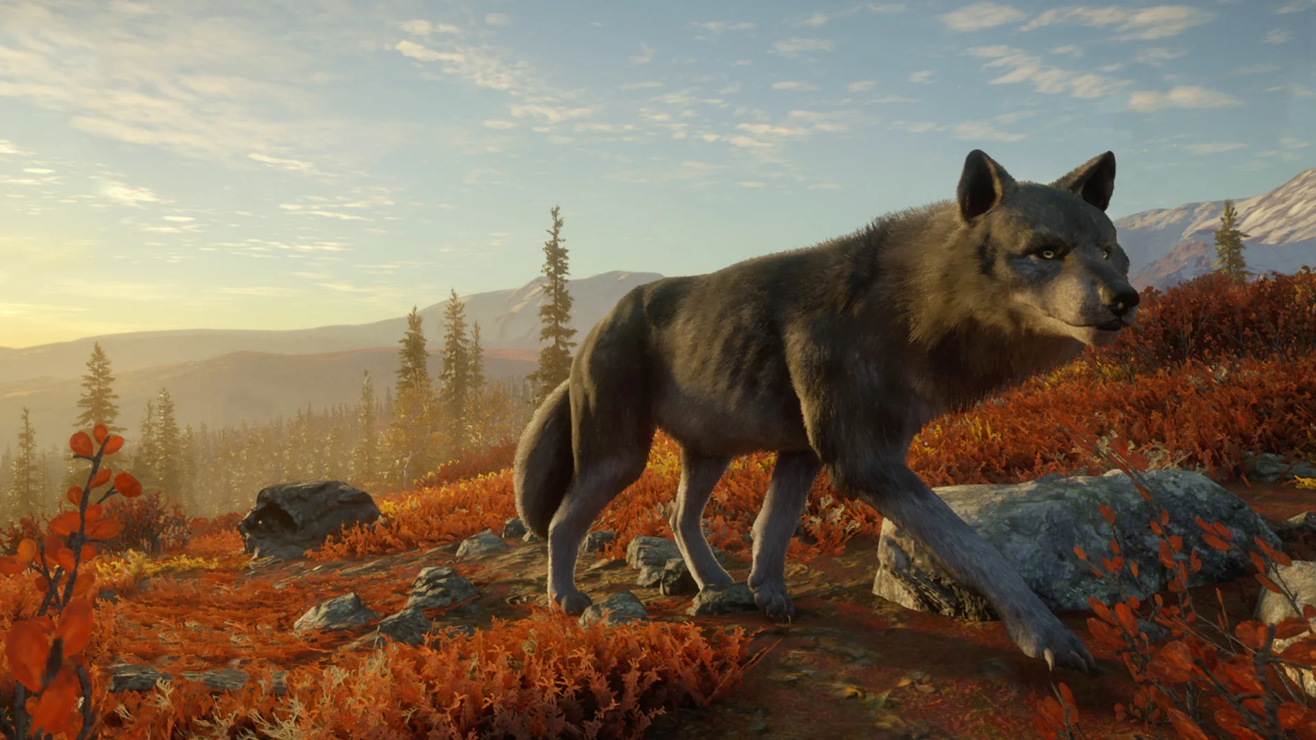 theHunter: Call of the Wild™ - Yukon Valley - Image 3